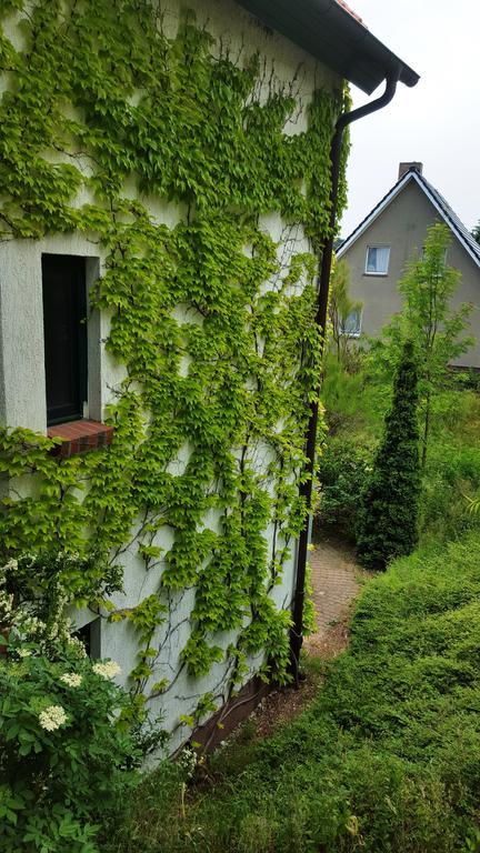Haus Seefeld Ückeritz Zewnętrze zdjęcie